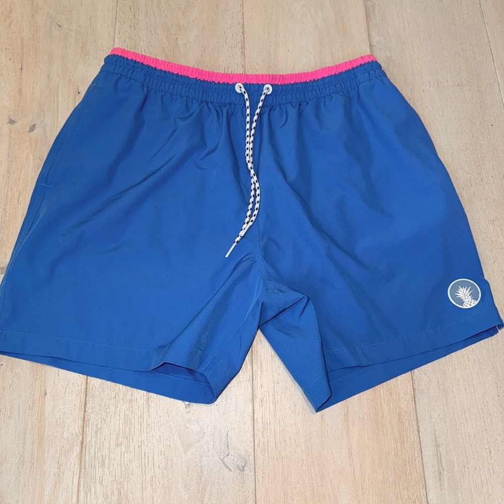 Chubbies Mens Classic 5.5” Mesh Brief-lined Stretch Swim Trunks The Sea Salts XL - Picture 8 of 14